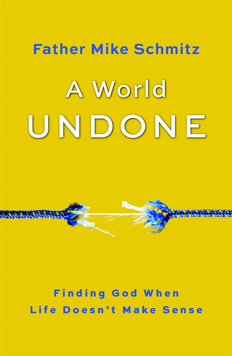 Schmitz, Mike: A World Undone: Finding God When Life Doesn't Make Sense (softcover)